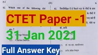 CTET Primary Level Answer key 31 Jan 2021/CTET 1st paper set K full solved answer key/Glance Academy