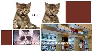 Roaring Kitty Moment: Wolfspeed Inc.