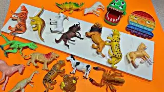 🐱 ASMR_Video * Model Wild Animals Toy Collection I No Music *
