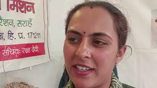 Shimla Jhansi Park food festival Himachali food