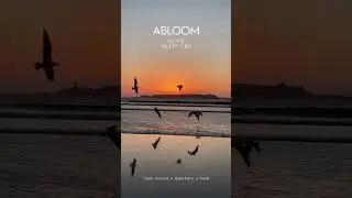 Abloom Slow Skincare Summershoot