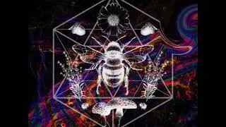 Psychedelic Hip Hop Beat 2021 - Ode to a Killa Bee
