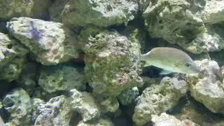 Eco Discovery Center Part 2