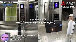 2 Generic & 1 Mitsubishi Scenic Lifts - Senen Toyota Rangga Shelter, Jakarta