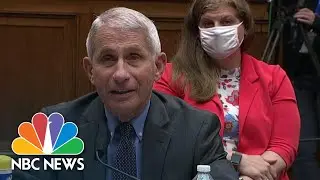 Fauci: I Was Never Told To 'Slow Down' Coronavirus Testing | NBC News NOW