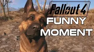 Fallout 4 Funny Moment (Legendary Assaultron)
