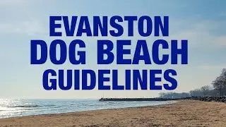 EVANSTON DOG BEACH GUIDELINES