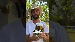 DIY Herbal Vinegar