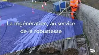 Retour sur une année 2025 exceptionnelle en Auvergne-Rhône-Alpes !