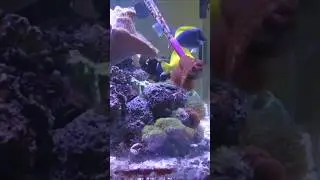 Как успешно собирать и выращивать грибы!