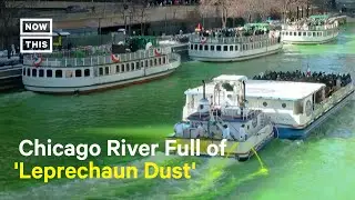 Chicago River Dyed Green for St. Patrick's Day #Shorts