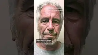 New details of Jeffrey Epstein&rsquo;s death revealed in records obtained by AP. #shorts