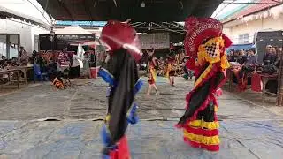 Tari Barong vs celeng
