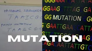 Mutation - Types of Mutation - Effects of Mutation --Ames test