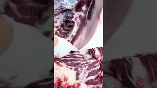 Use right tool for each meat cut.#najiaxin#shorts#pork#cuts.