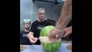 Logan Paul Best moments [Part 1]