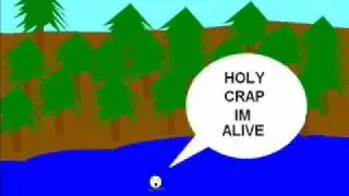 Another Boating Accident
