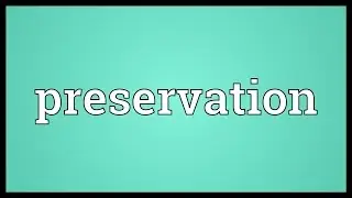 Preservation Meaning