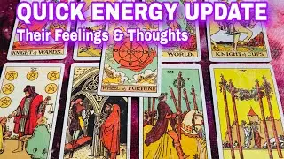 Quick Energy Update ❣️ Their Feelings & Thoughts 💖 Timeless Tarot ⭐️ Hindi-Urdu