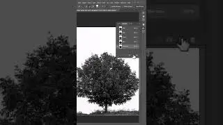 Как выделить сложные объекты, например &laquo;Дерево&raquo;, в Photoshop #шорты