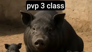 Оккупация троек? Или же как я вернулся на 3,pvp 3 class frostborn 