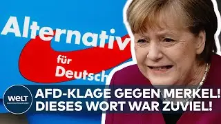 KLAGE DER AFD GEGEN DIE KANZLERN: Bundesverfassungsgericht prüft Äußerung von Angela Merkel