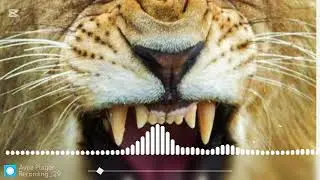 ALEX AND RUS MUSIC SONG WITH LION animation ДИКАЯ ЛЬВИЦА