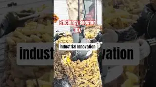 Innovative Corn Packing Machine That Saves Time