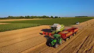 УБОРКА ПШЕНИЦЫ 2025 ГОДА В СЕРБИИ
