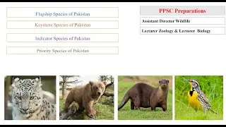 Flagship species vs Keystone species