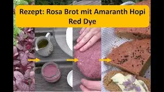 Selbstversorgung: Rezept: rosa Brot mit Amaranth Hopi Red Dye #selbstversorgung #garten #amaranth