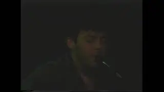 The Bongos, Bush Tetras on February 20, 1981 at Rainbow Theater