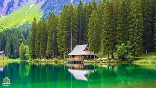 Soothing Music for Stress Relief 🌿 Calm the Nervous System & Stop Overthinking