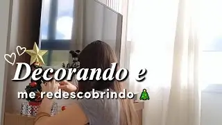 Aceitar quem eu sou mudou tudo |  vlog + decoração natalina +diy