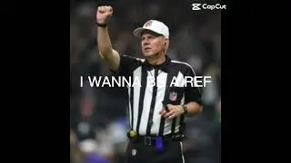 NFL refs be like&hellip;