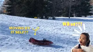 Sledding at Queen Elizabeth Park