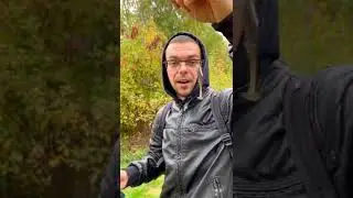 Отводной поводок - всему голова
