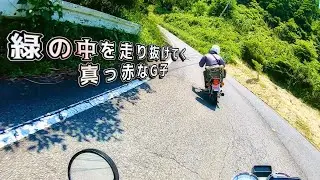 緑の中を走り抜けてく真っ赤なG子❣️