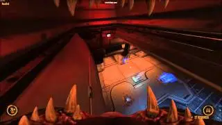 Walljumping - NS2 - ns2_veil