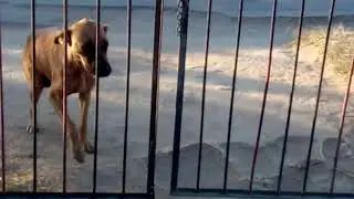 Topidho Vachivhura Gedhi