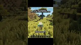 secret commands from minecraft #minecraft #minecraftcommands #fypシ゚viral