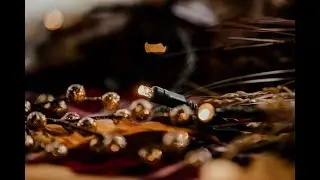 *NEW* True Twinkle LED Lights