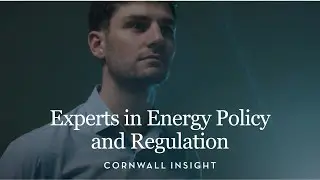 Our Expertise in Energy Regulation and Policy