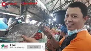 Hunting Ikan Segar di Pasar Ikan Terbesar di Surabaya || Banyak Ikan Laut nya