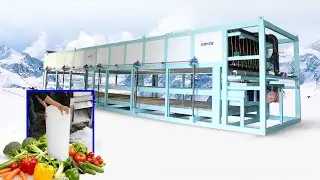 The Icy Backbone of Freshness | ICESTA 160-Ton Daily Ice Production for Vegetable Cold Chain