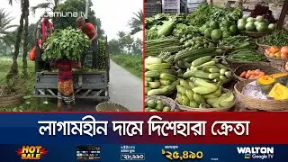 সবজির দামের উত্তাপে পুড়ছে ক্রেতা, লোকসানে ডুবছে উৎপাদকরা | Chuadanga Vegetable | Jamuna TV