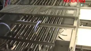 Fish Grading Line СОРТИРОВЩИК, грейдер