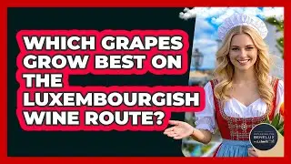 Which Grapes Grow Best On The Luxembourgish Wine Route? - Exploring The Benelux