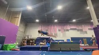 Back 1.5 (spring floor)