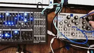 Passenger- Wayne Rowand- Pittsburgh Modular SV1/ Microvolt 3900